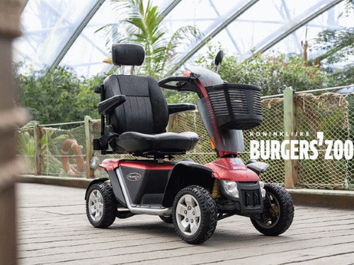 Scootmobiel huren in BURGERS'ZOO